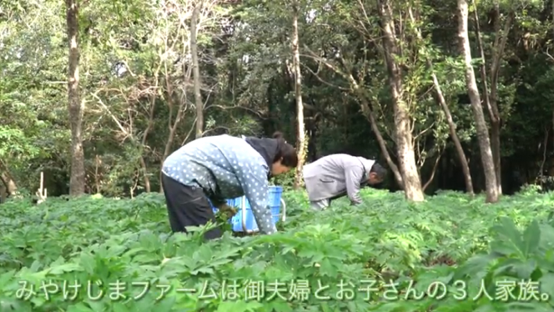  チャレンジ農業支援センター