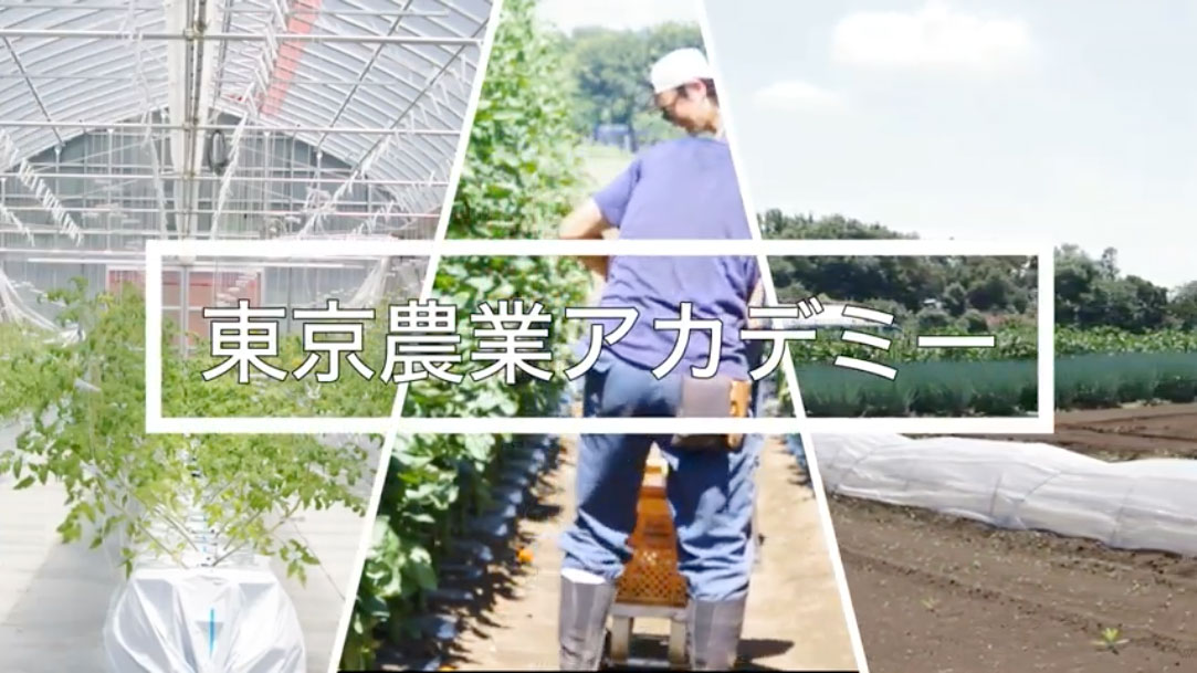 「東京農業アカデミー八王子研修農場」東京だからできる農業（令和3年度 long ver）
