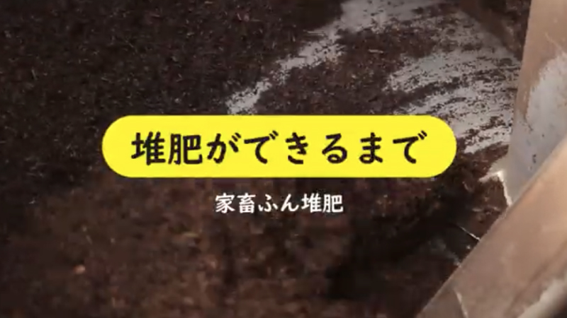 0JzfKxYxIcw