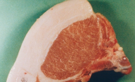 TOKYO X肉　サシの入ったロース断面の写真