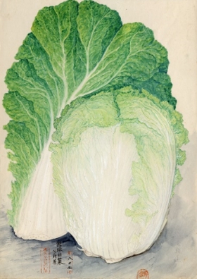 細密画「包頭蓮白菜」の写真