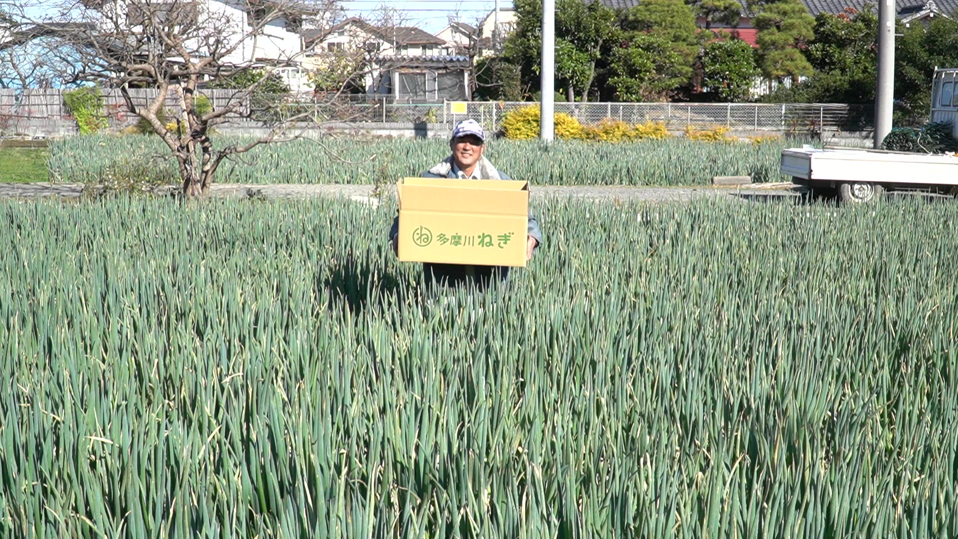 東京ねぎっこ組合の画像