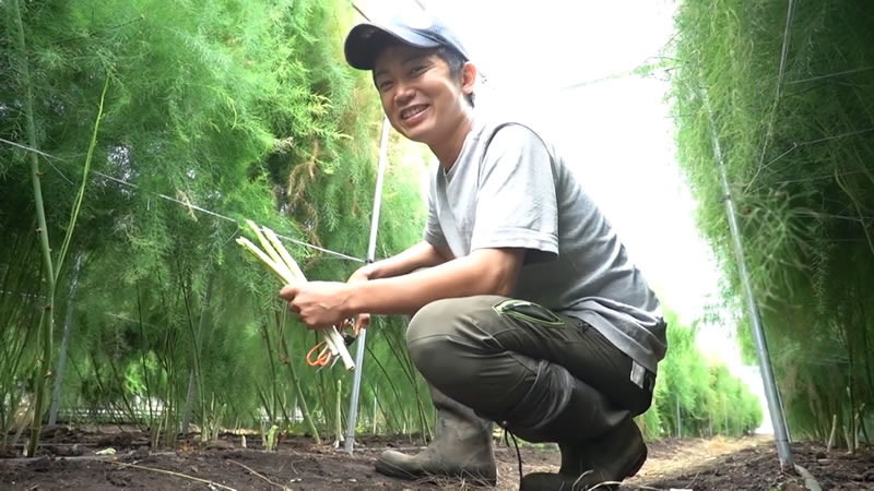 白石農園の画像