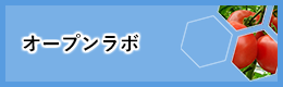 オープンラボ