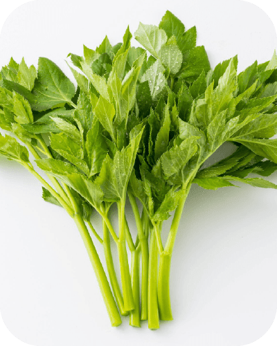 この野菜の名前は何でしょうか?