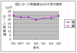 2．能力の画像3