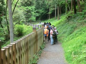 【写真１】森林浴登山