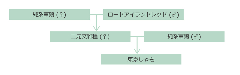 交配方法の画像