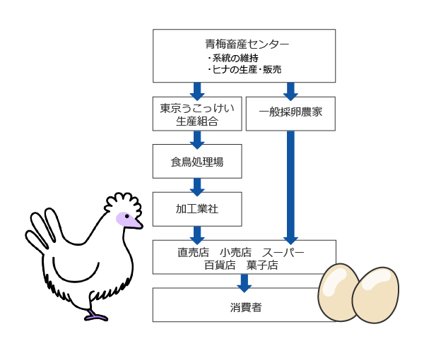 生産と流通の画像