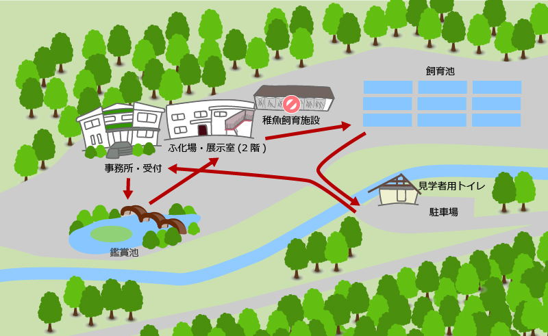 奥多摩さかな養殖センター見学エリアマップ