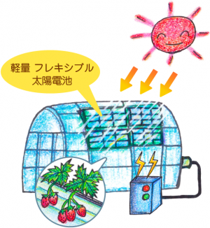 ハウス栽培における軽量フレキシブル太陽電池の利用イメージ