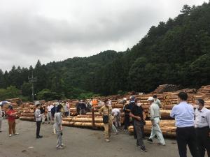 にぎわう多摩木材センター