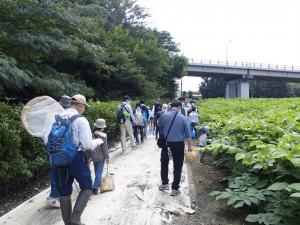 昆虫観察会の様子2