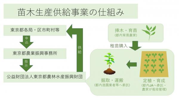 苗木生産供給事業の仕組みの画像