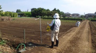 圃場の確認の画像