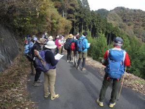 森林浴登山4