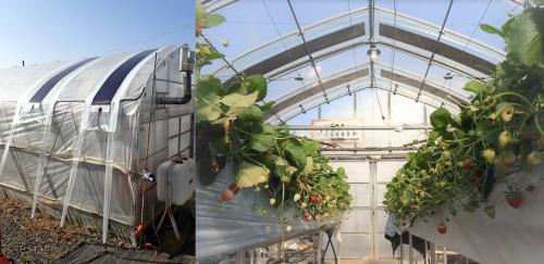 太陽光パネル進捗