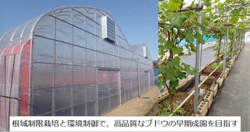 果樹根域制限栽培における環境制御システムの開発（イメージ）