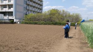 苗木圃場検査のようす①