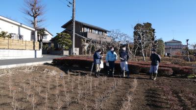 圃場の様子2