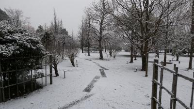 圃場の様子4