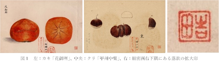 図１　左：カキ「花御所」、中央：クリ「甲州中栗」、右：細密画右下隅にある落款の拡大印