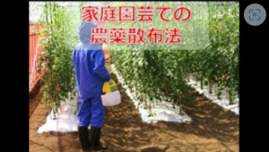 家庭園芸での農薬散布法_サムネイル