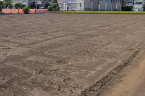 新規ほ場3
