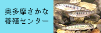 奥多摩さかな養殖センター