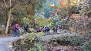 登山②