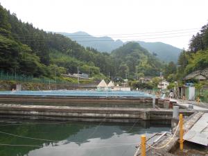 海沢飼育池