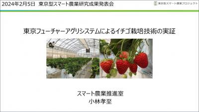 東京フューチャーアグリシステムによるイチゴ栽培技術の実証