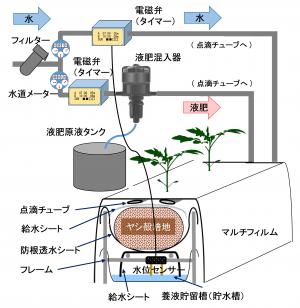給液モデル