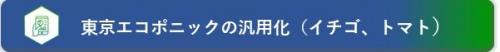 東京エコポニックの汎用化（イチゴ、トマト）