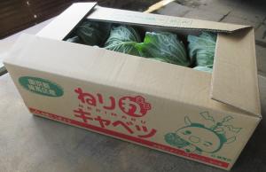 箱詰めされたキャベツ