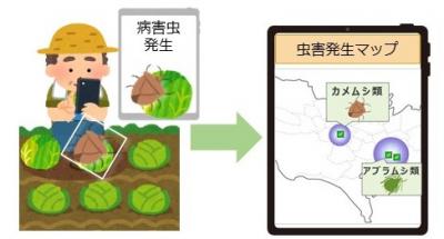 情報共有基盤（病害虫発生状況等）