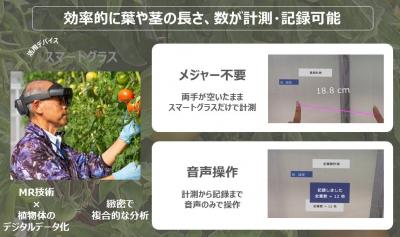 スマートグラスによる作物計測