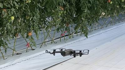 ハウス内ドローン
