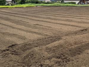 新規委託候補のほ場その2