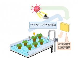 鉢花等の底面給水ｼｽﾃﾑ