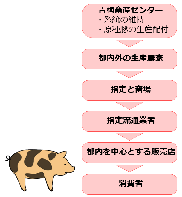 トウキョウX流通経路図