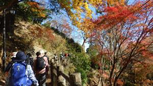 紅葉の日の出山