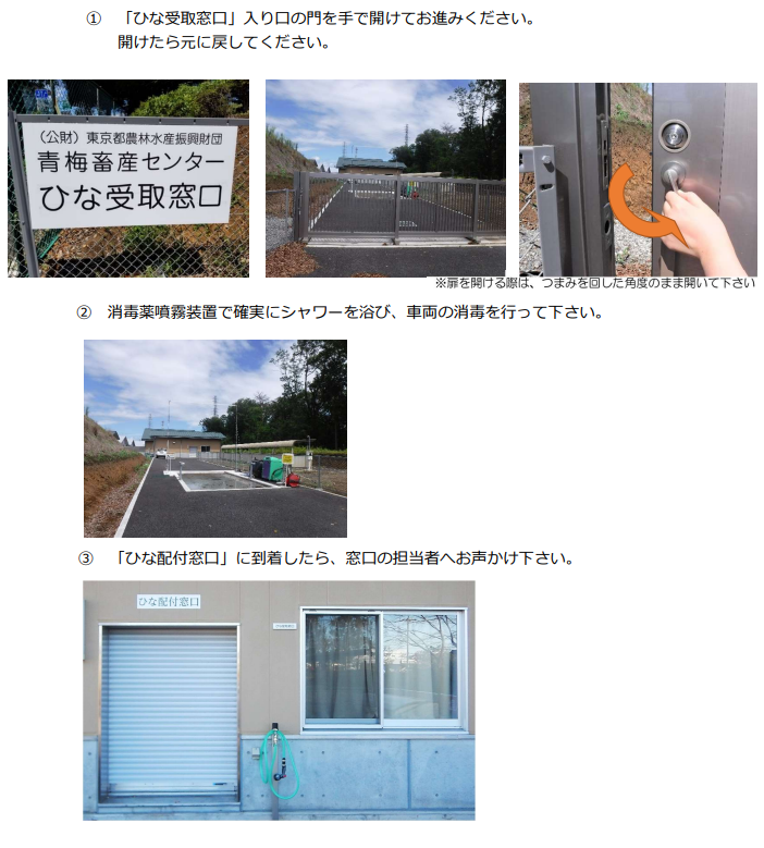 ひなの受取り