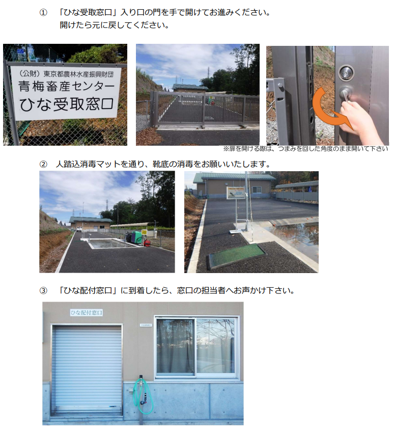 ひな受取（徒歩）(2)