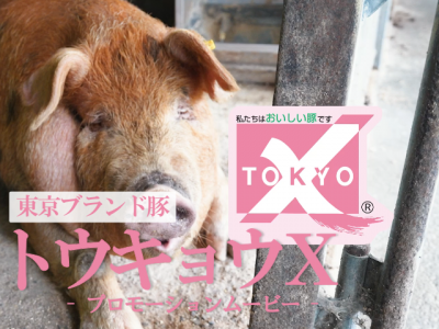 トウキョウ