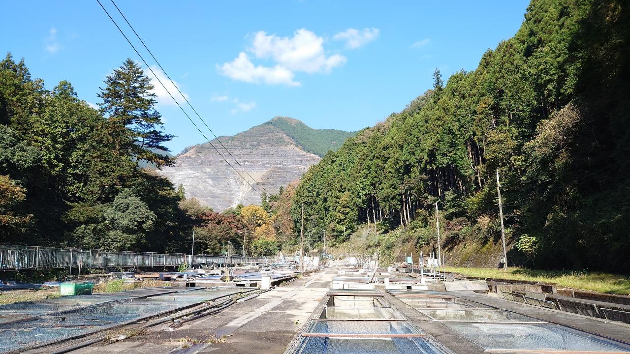 入川飼育池の画像１