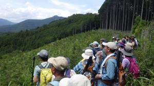 伐採現場での解説風景