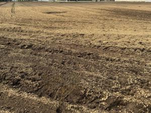 新しく苗木の栽培を開始予定の畑2