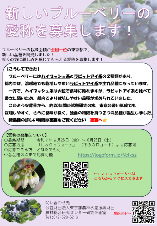 ブルーベリー愛称募集チラシ（応募概要）