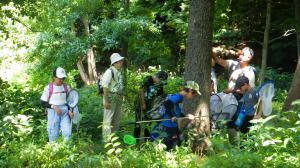 雑木林で昆虫観察